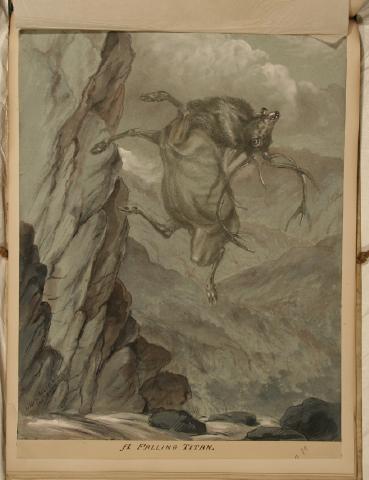 Record Image